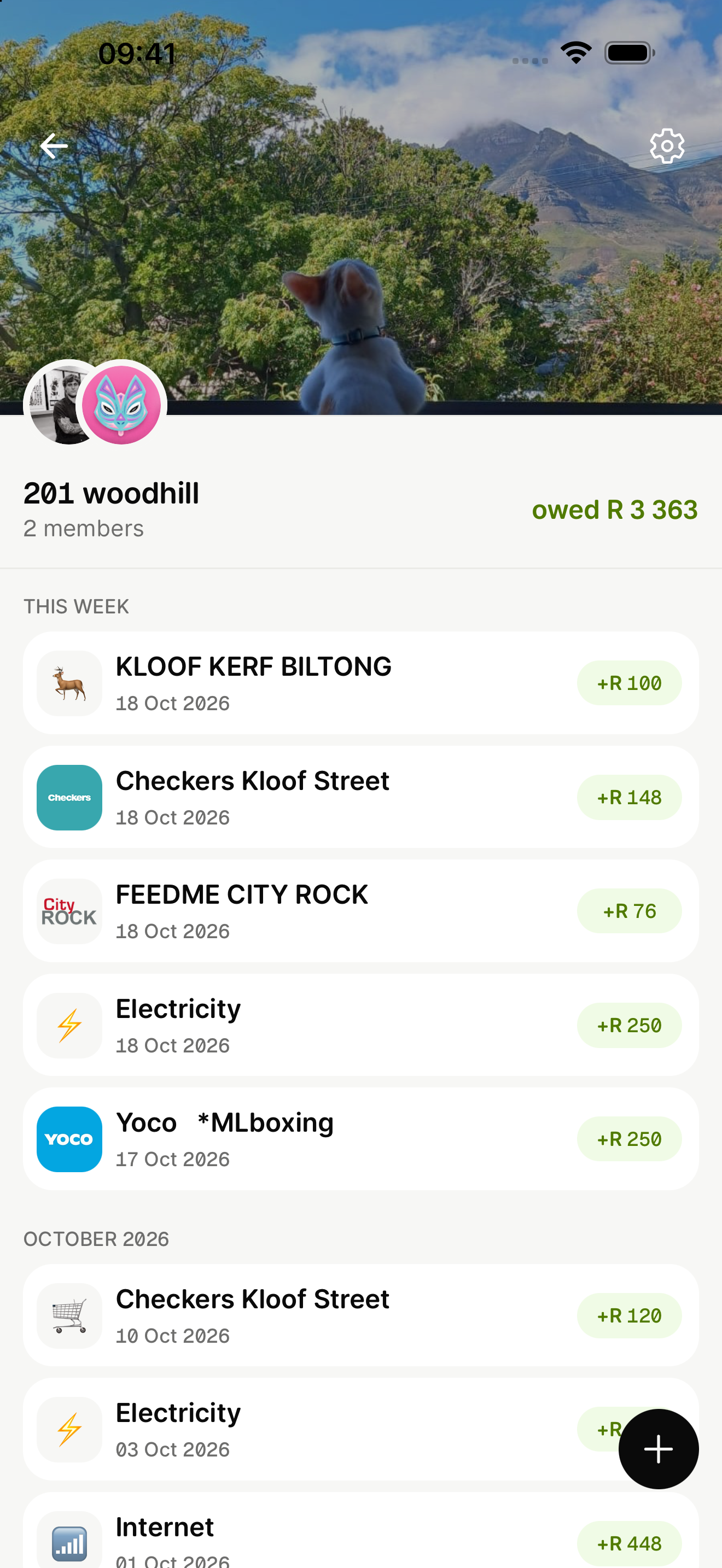 A household group in Share showing grocery, electricity and internet payments